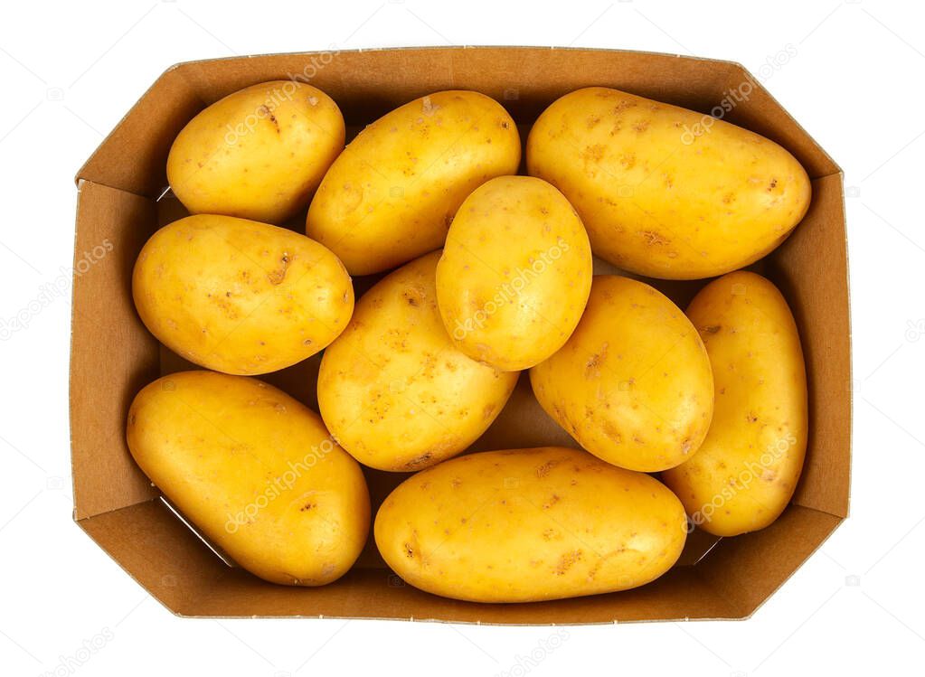 fresh potatoes isoalted on white background, top view