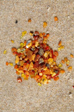 pieces of amber (Lithuanian gold) lying on beach, top view