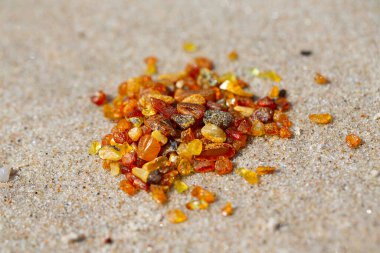 pieces of amber (Lithuanian gold) lying on beach