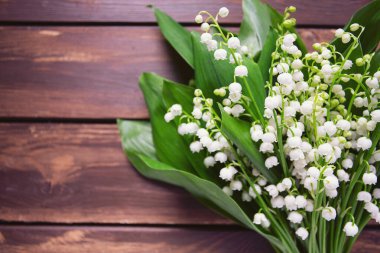 Lily vadi güzel çiçekler