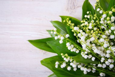 Lily vadi güzel çiçekler