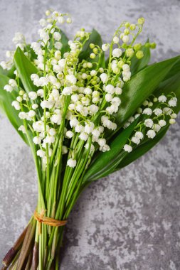 Lily vadi güzel çiçekler