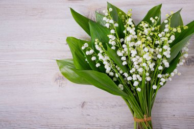 beautiful flowers of lily of the valley, top view and empty space for your text