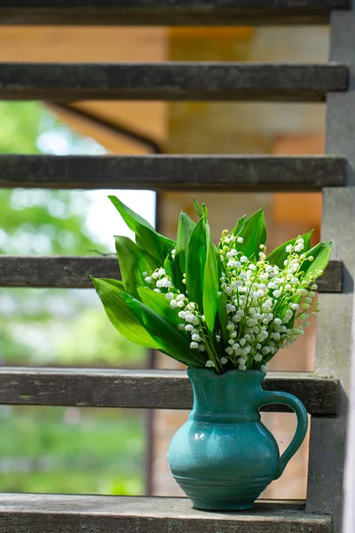 Beautiful Flowers Lily Valley — Stock Photo, Image