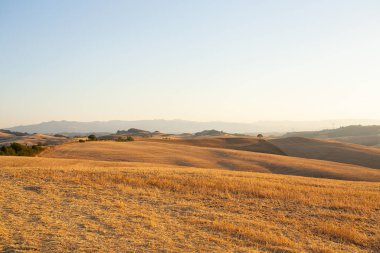 beautiful evening on meadows in Tuscany