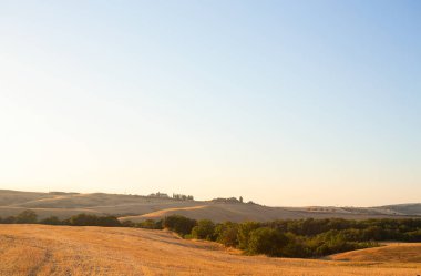 beautiful evening on meadows in Tuscany