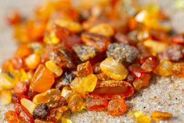pieces of amber (Lithuanian gold) lying on beach