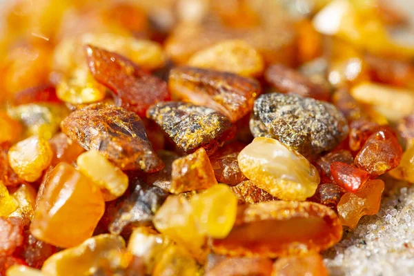 Pieces Amber Lithuanian Gold Lying Beach —  Fotos de Stock