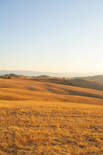 Beautiful Evening Meadows Tuscany — Photo