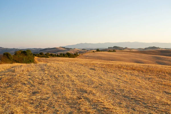 Beautiful Evening Meadows Tuscany — Fotografia de Stock