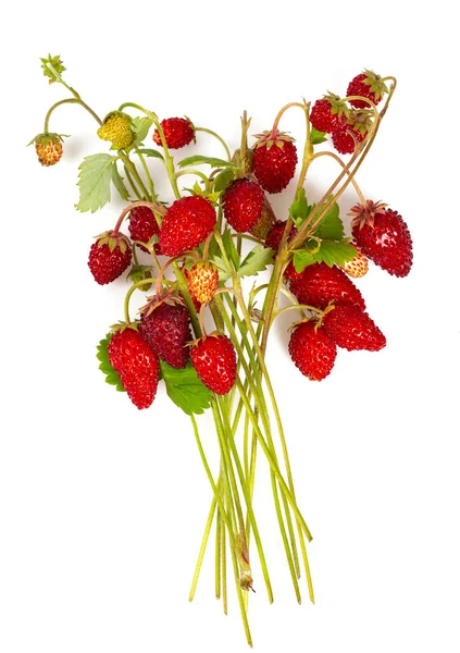 野生草莓在白色背景下被分离出来 顶部视图 — 图库照片