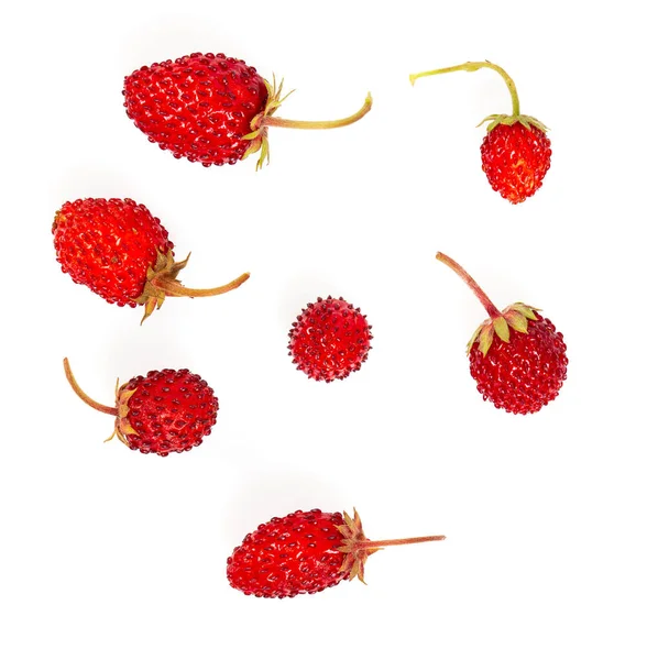 Wild Strawberries Isolated White Background Top View — Stock Photo, Image