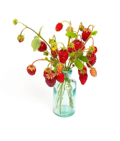 Fresas Silvestres Aisladas Sobre Fondo Blanco — Foto de Stock