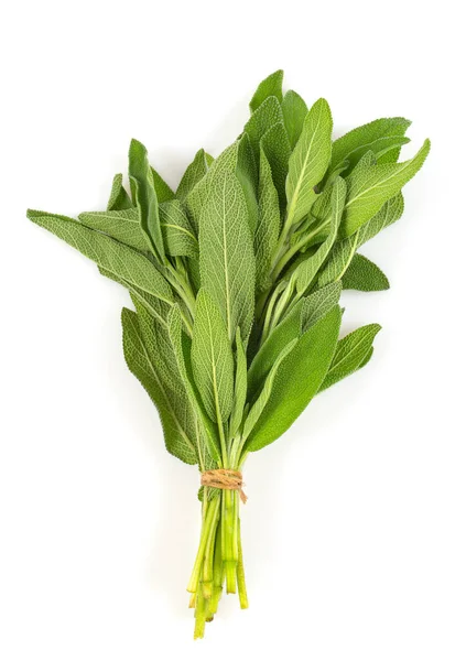 Fresh Sage Leaves Isolated White Background Top View — Stock Photo, Image