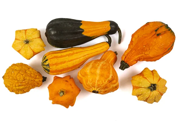 Decorative pumpkins isolated on white background. Variety of edible and decorative gourds and pumpkins. Top view.