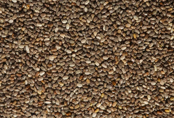 Chia Tohumları Yakın Çekim Süper Yiyecek Konsepti Beyaz Arkaplanda Izole — Stok fotoğraf