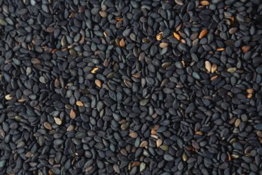 Siyah susam tohumları yakınlaşır. 