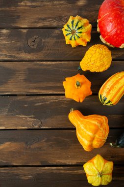 Ahşap arka planda dekoratif balkabakları. Yenilebilir ve dekoratif kabak ve balkabağı çeşitleri. Metnin için üst görünüm ve boş boşluk.