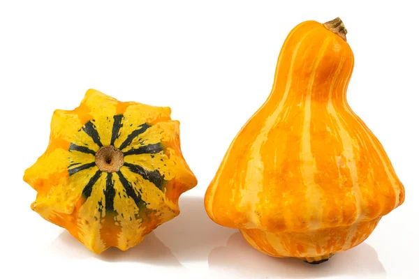 Decorative pumpkins isolated on white background. Variety of edible and decorative gourds and pumpkins.