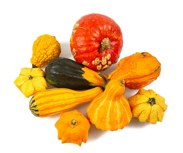 Decorative pumpkins isolated on white background. Variety of edible and decorative gourds and pumpkins.