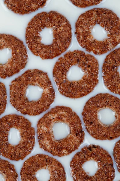 Anéis Chocolate Frios Pequeno Almoço Rápido Para Crianças Cereais Doces — Fotografia de Stock