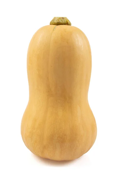 Čerstvé Dýně Máslového Ořechu Izolované Bílém Pozadí Dýně Máslového Ořechu — Stock fotografie