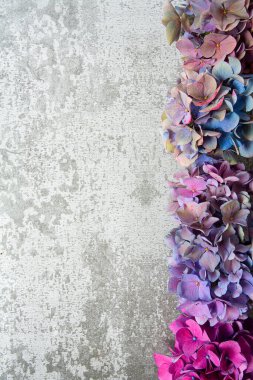 Ortanca çiçekleri taş bir yüzeyde. Kopyalama alanı ile bulanık arkaplan ile seçmeli odak. Üst görünüm.