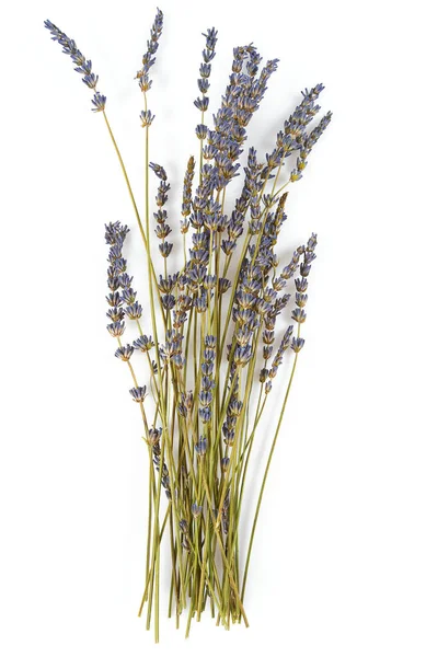 Gedroogde Lavendel Geïsoleerd Witte Achtergrond Bovenaanzicht — Stockfoto