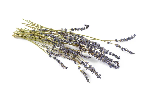 dried lavender isolated on white background