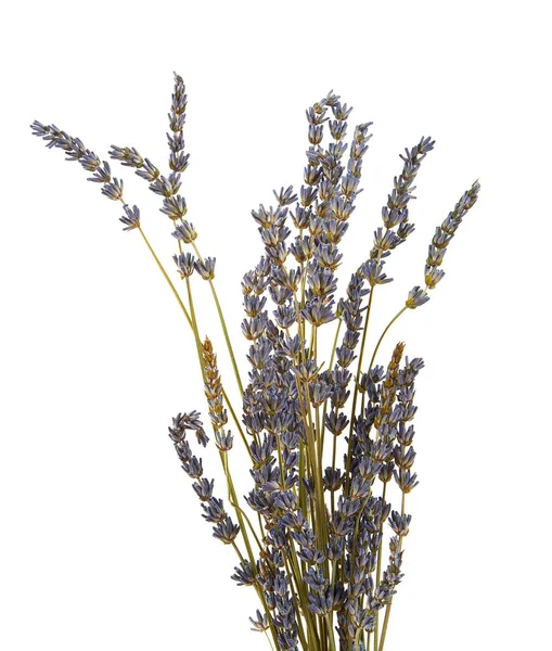Gedroogde Lavendel Geïsoleerd Witte Achtergrond — Stockfoto