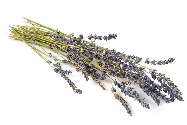 Gedroogde Lavendel Geïsoleerd Witte Achtergrond — Stockfoto