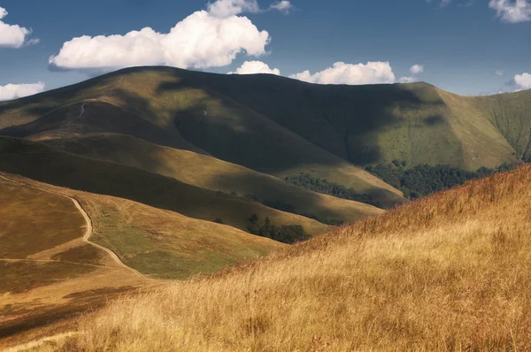 Karpatlar, Ukrayna turist dinlenme