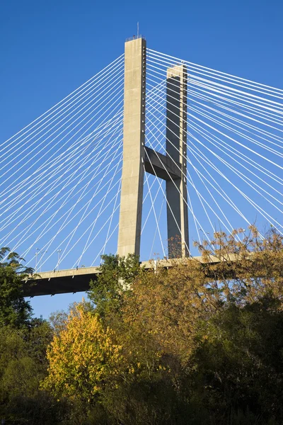 Talmadge memorial most — Zdjęcie stockowe