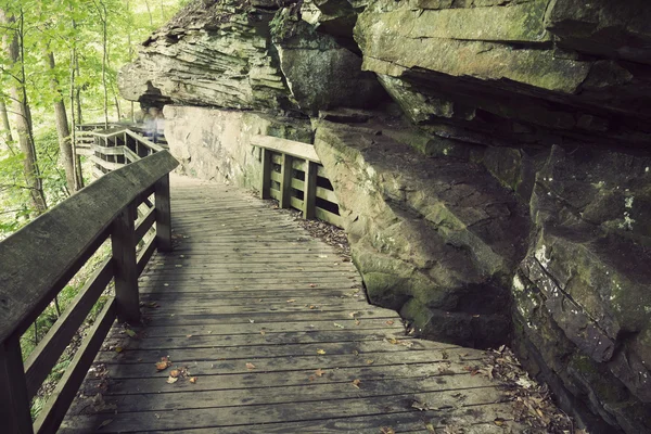 Sendero turístico en el Parque Nacional Valle de Cuyahoga —  Fotos de Stock