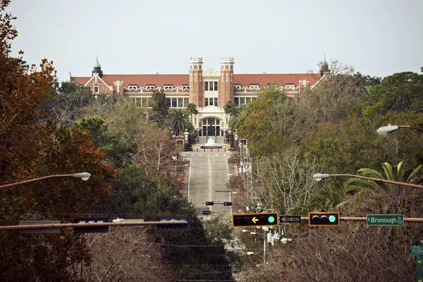 Florida State University — Stock Photo, Image