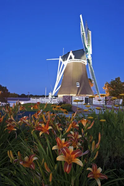 Flores na frente do moinho de vento — Fotografia de Stock