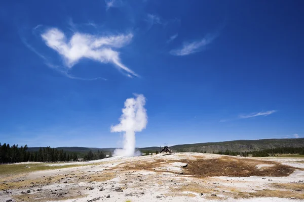 Gammal trogen i Yellowstone — Stockfoto