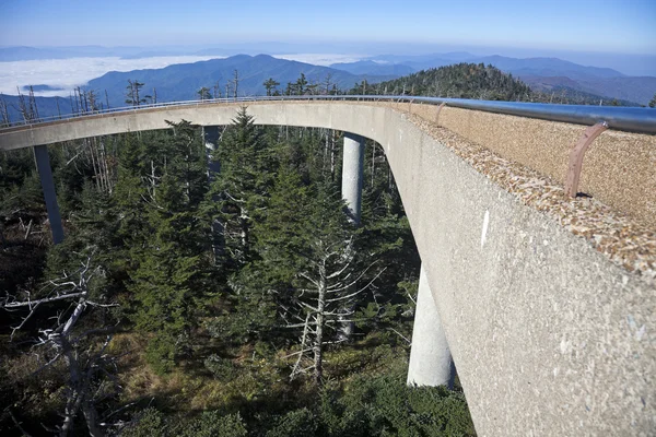 Clingmans купола - національним парком Грейт-Смокі-гори — стокове фото