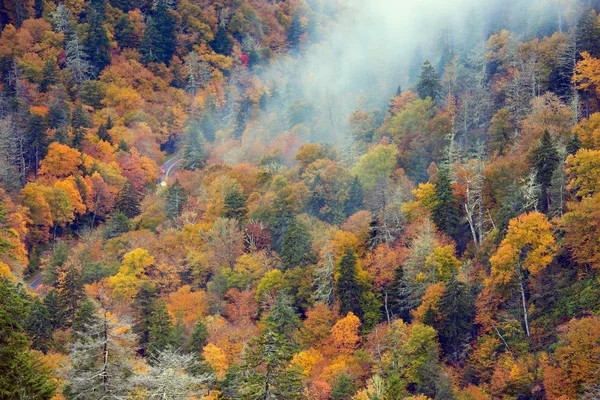 Carros que conduzem através de Smoky Mountains — Fotografia de Stock