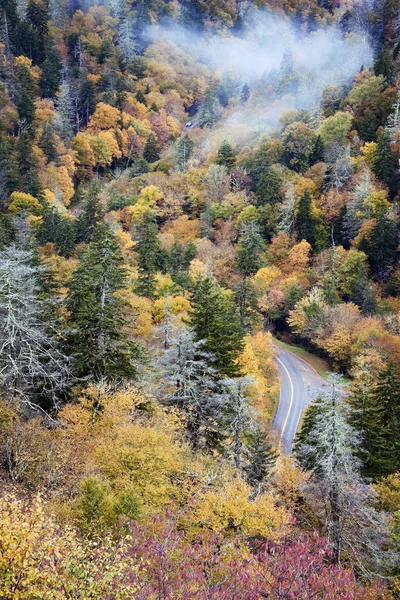 Bilar som kör genom rökiga bergen — Stockfoto