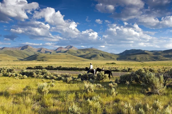 Paseos a caballo en Idaho — Foto de Stock