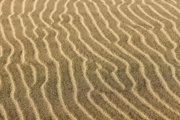 Národní park Písečné duny — Stock fotografie