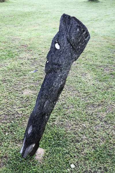 Face carved in the dead palm tree — Stock Photo, Image