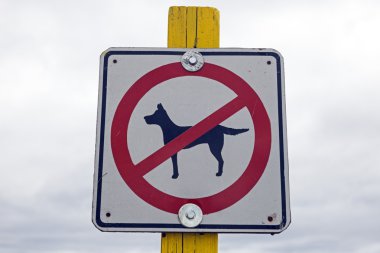 köpek izin yok