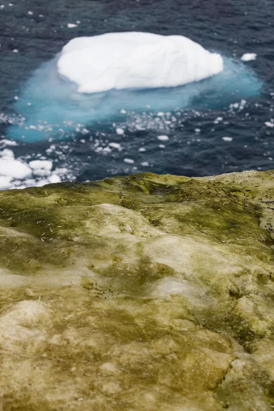 Antarctica landschap — Stockfoto