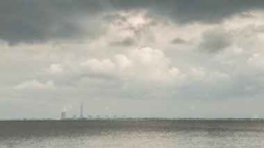 Bitki nehir kenarındaki çevreyi kirletiyor.