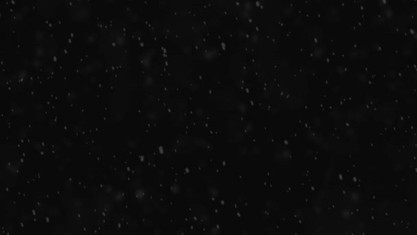 Snowfall Black Background Winter Night — Stock Video