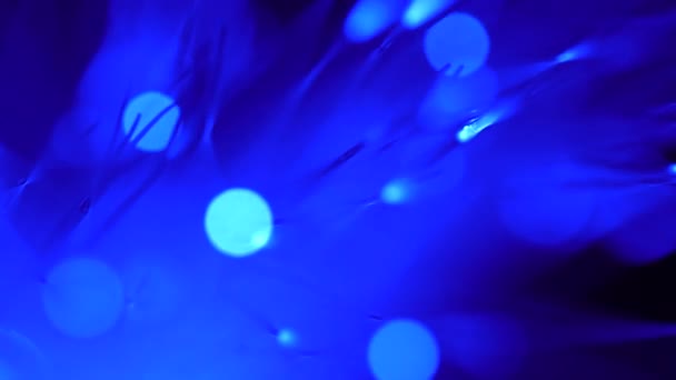 Cabelos Brilhantes Azul Bokeh Macro — Vídeo de Stock