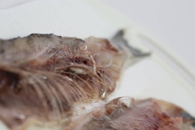 Lezzetli bir yemek için taze ringa balığı eti ve kemikleri.