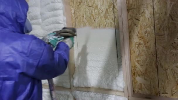 建筑工人用泡沫把木屋的墙壁隔热 — 图库视频影像
